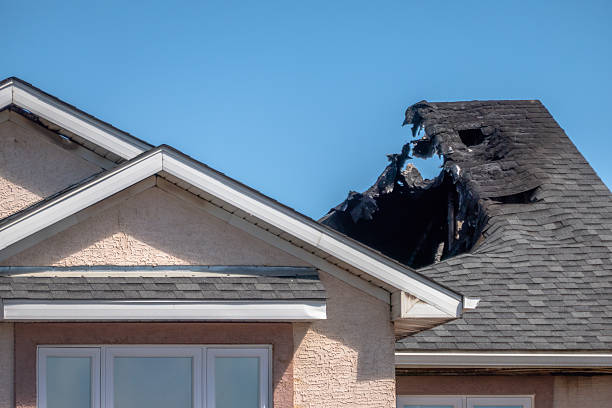 Top rated local Odor Removal specialists in Chaska, MN